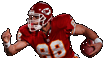 kcchiefs.gif (4867 bytes)